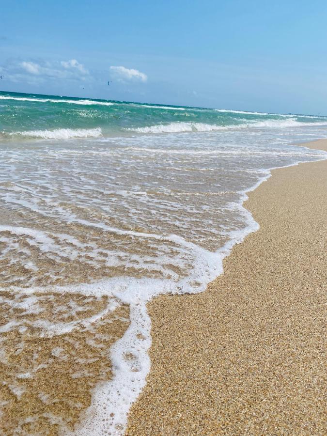 Studiobts - Lauderdale-By-The-Sea بومبانو بيتش المظهر الخارجي الصورة